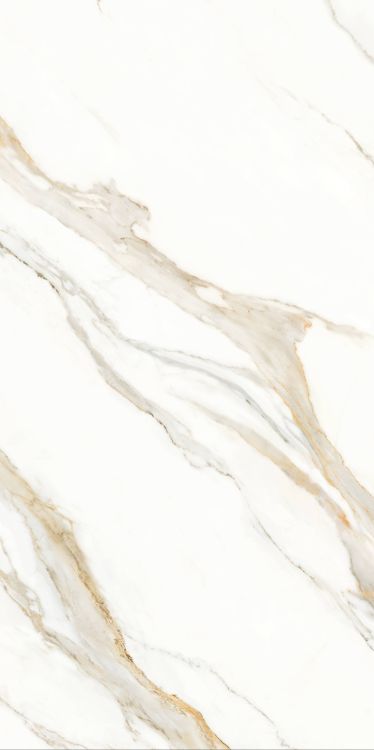 Time Lumidora Polished 24 x 48